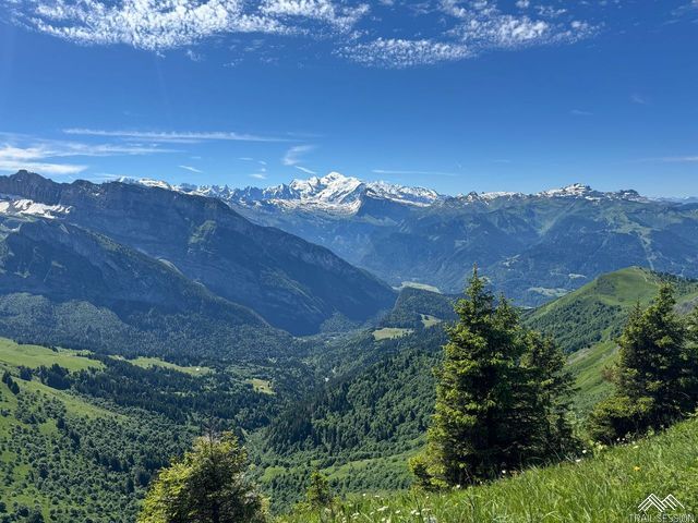 World ChampionShip Ultra Spartan Race Morzine 2024